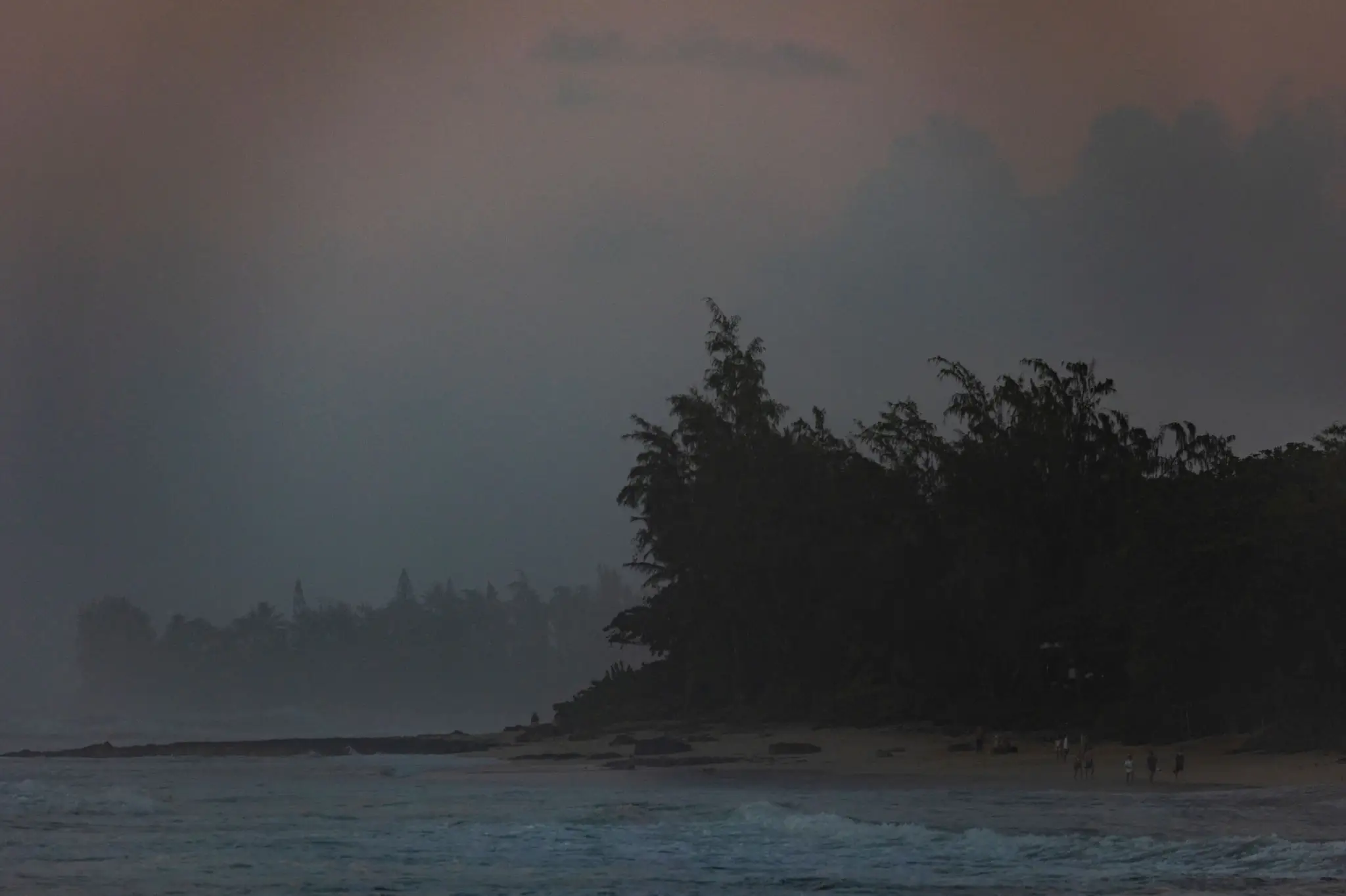 Dark, foggy beach scene with silhouetted trees at dawn or dusk.