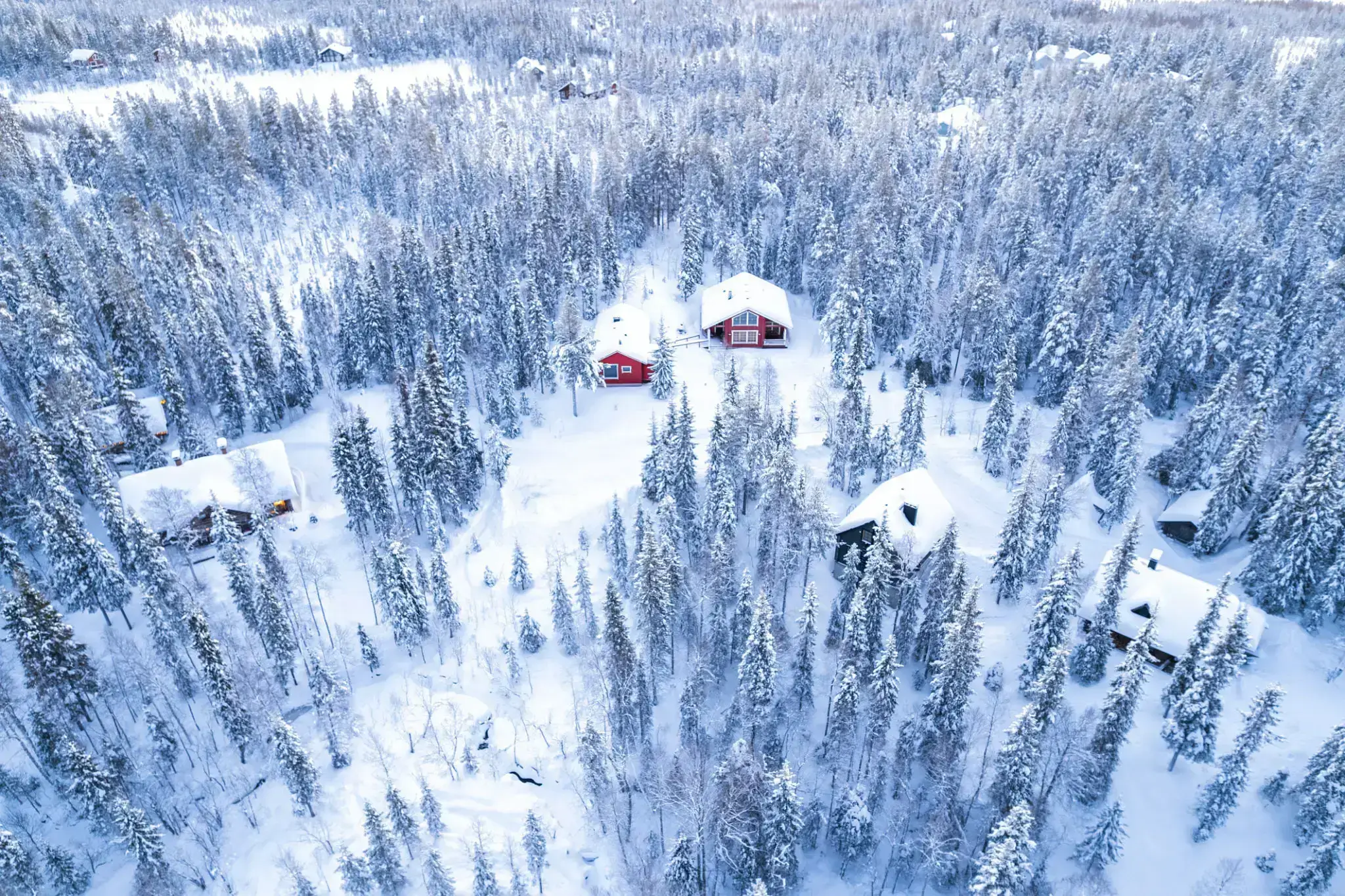Snow-covered cabins nestled in a dense forest during winter.