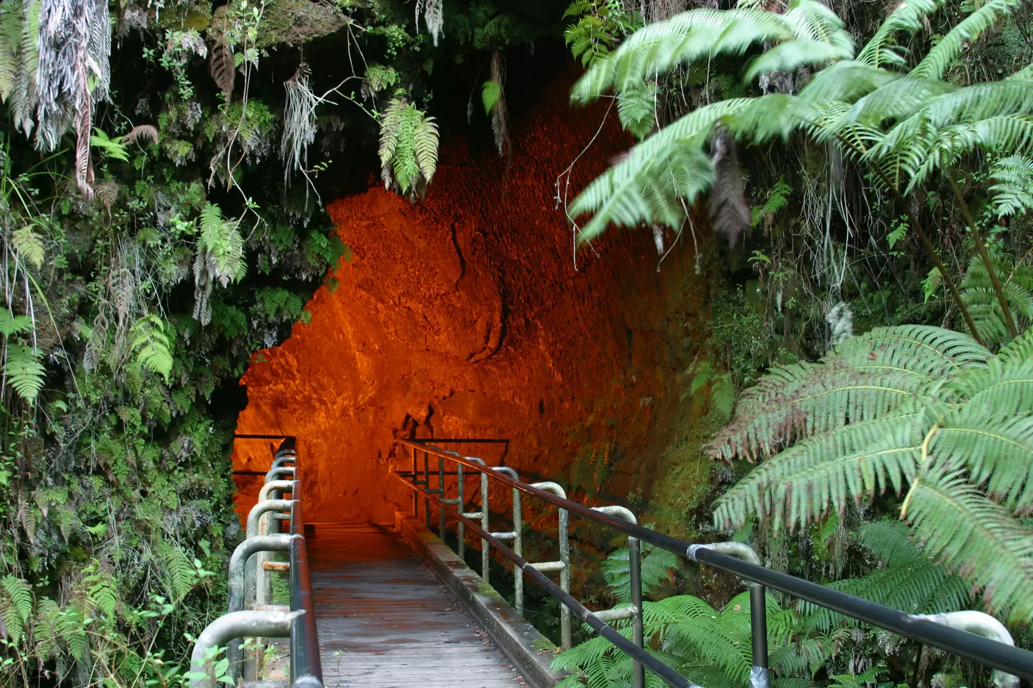 Pathway leading into a glowing orange cave surrounded by lush greenery.